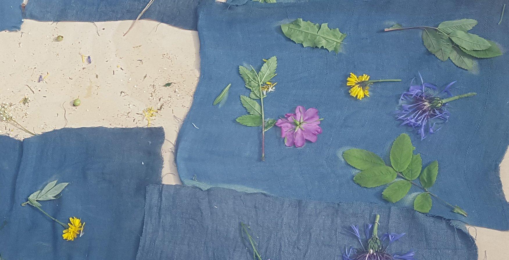 Museum Experience: Summer Workshop - Registration Required