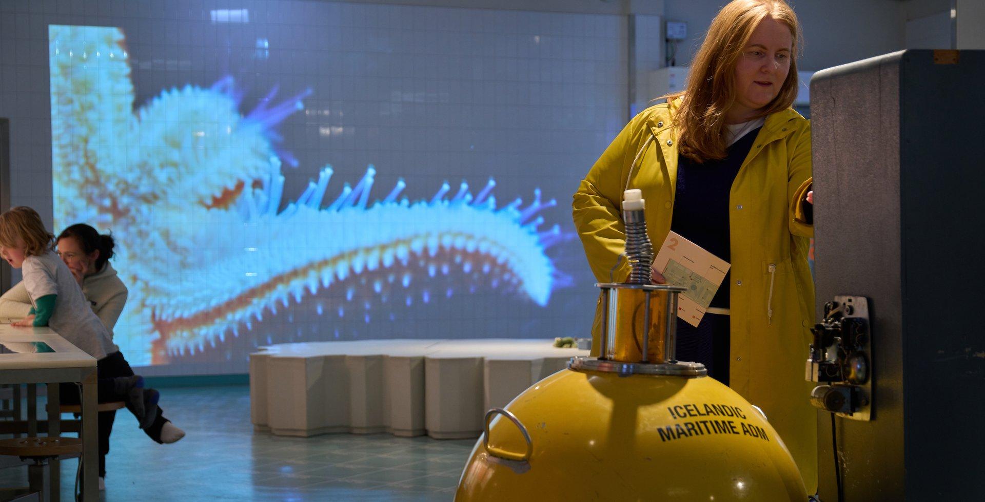 Free Entry to the Reykjavík Maritime Museum on Culture Night