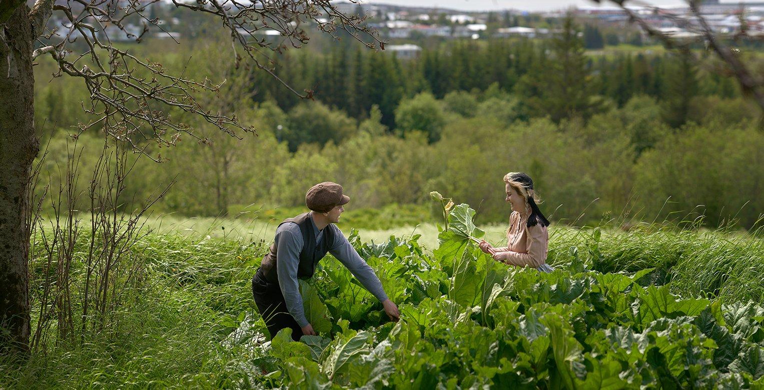 Örnámskeið í rabarbarafræðum - Skráning nauðsynleg