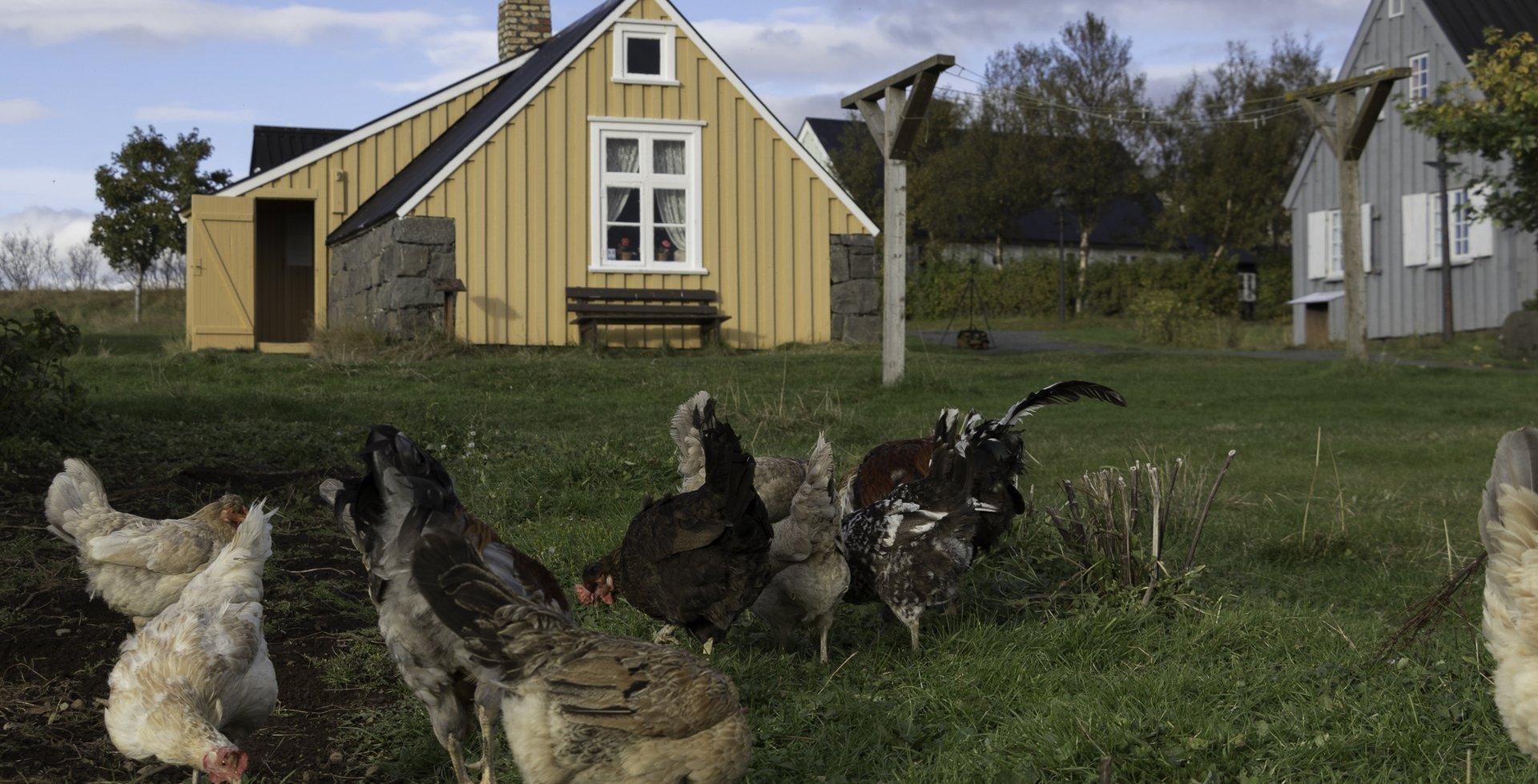 Ertu að læra íslensku? - Sumardagurinn fyrsti