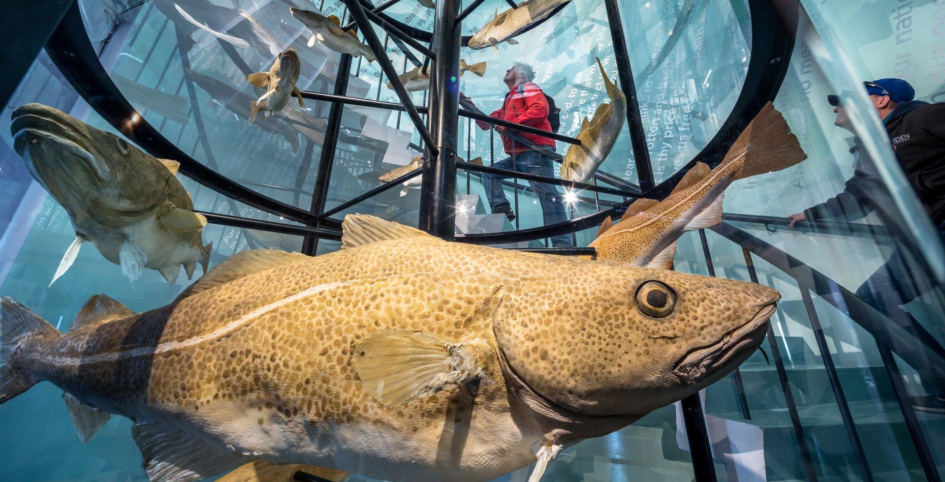 Leiðsögn á pólsku