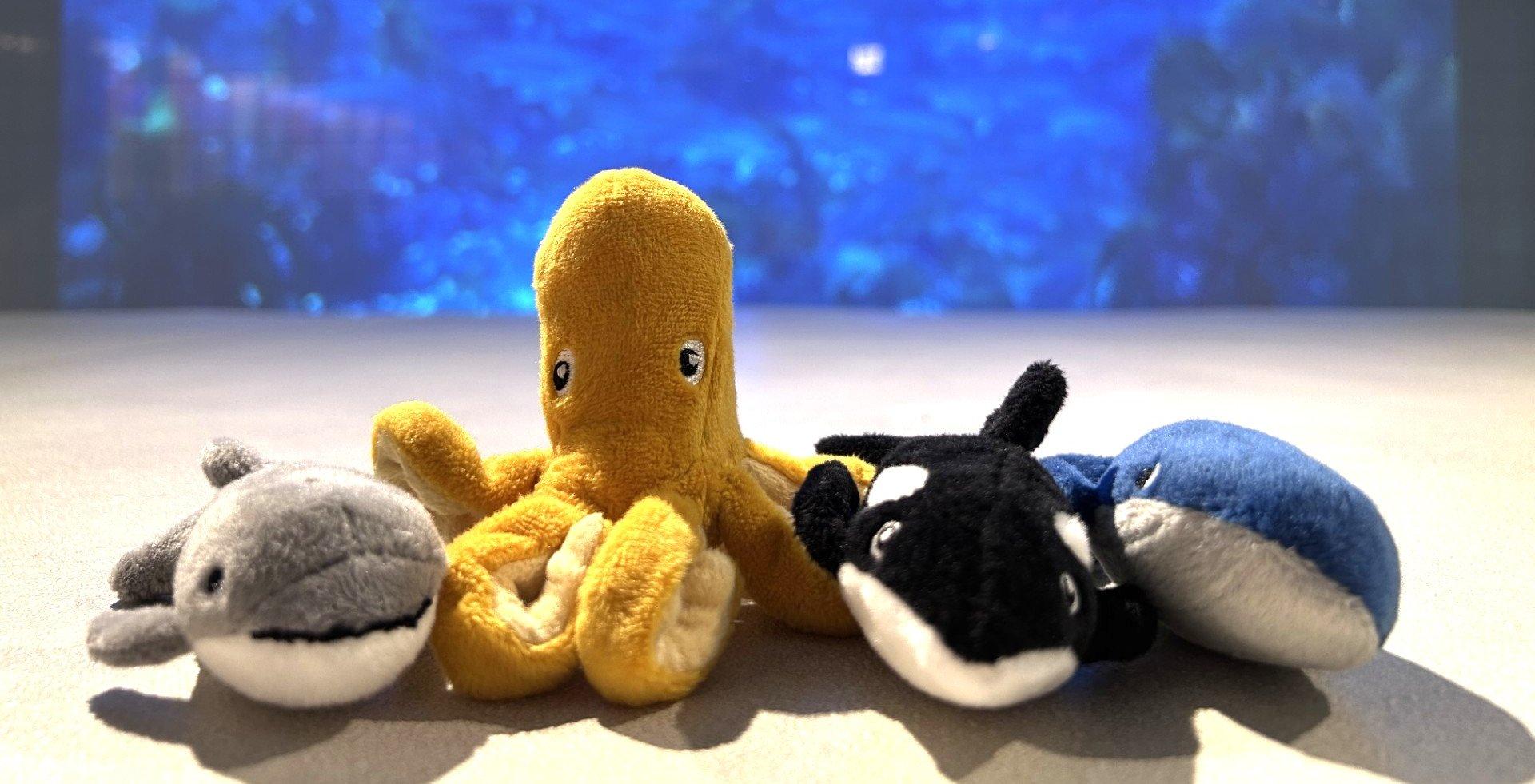 Finndu sjávardýrin! Ratleikur í vetrarfríinu