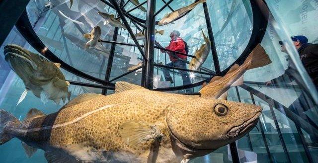 Fish & Folk - 150 years of fisheries